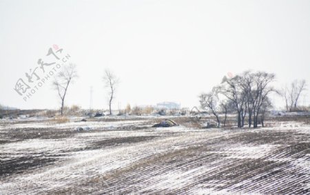 雪压田园图片