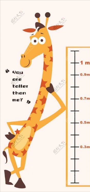 长颈鹿拽量身高图片