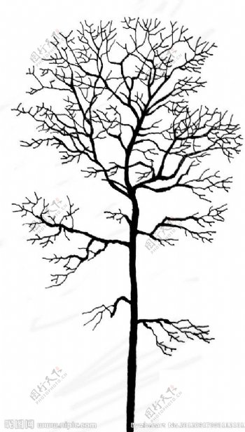 PS黑白树素材图片