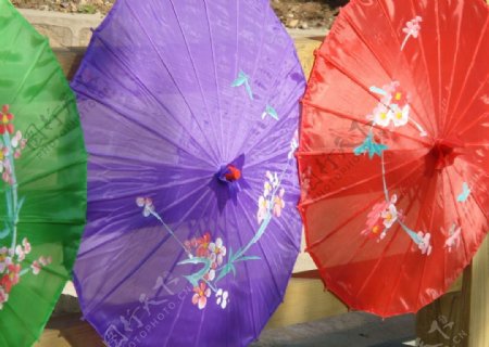 花折伞图片