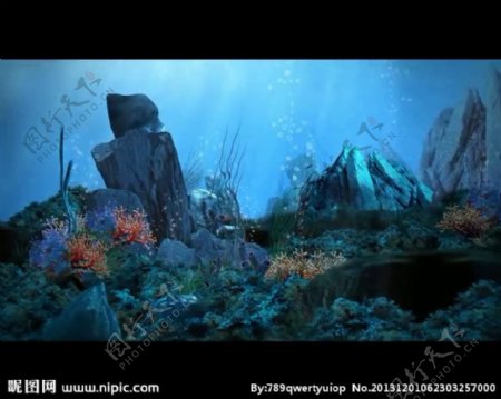 海底世界背景视频素材
