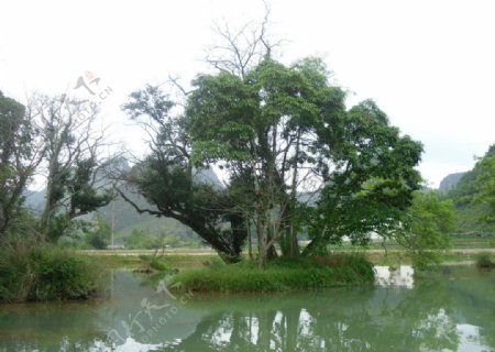 德保曼贝侬乡村风景图片