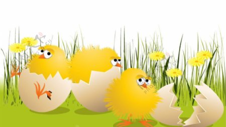 小鸡蛋壳复活节背景图片