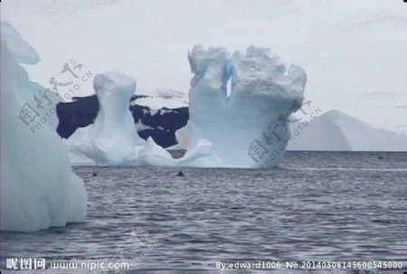 南极视频素材
