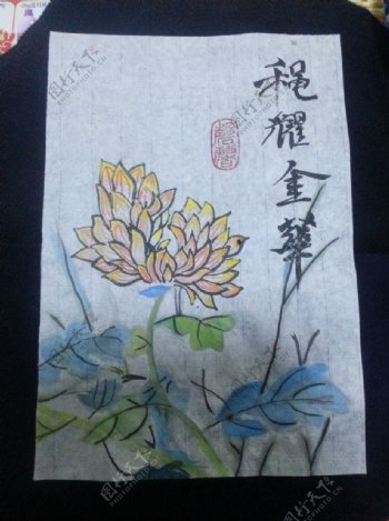 中国画菊花图片
