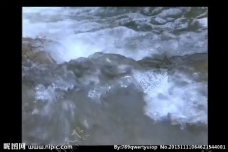 溪流视频素材