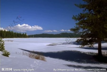 实拍冬雪视频素材