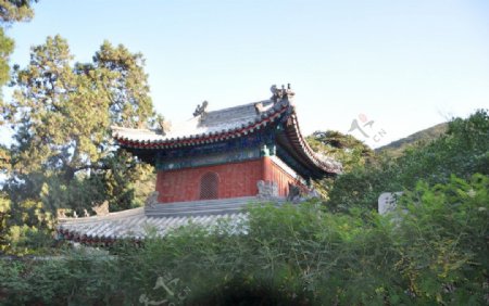 北京戒台寺图片