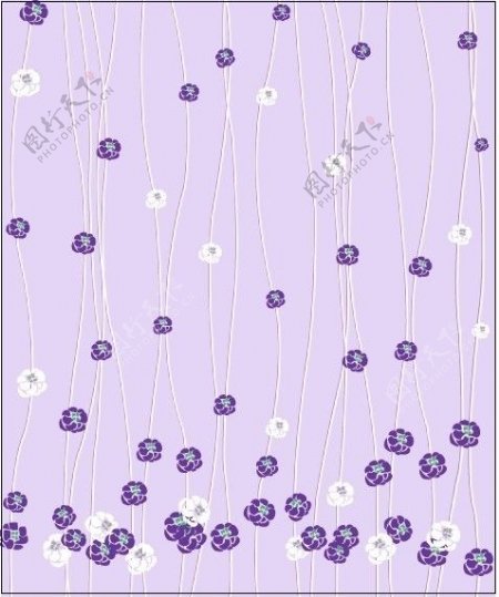 紫浴紫花白花线条小花图片