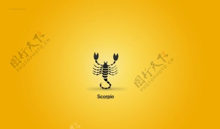 12星座黄色背景壁纸素材Scorpio图片