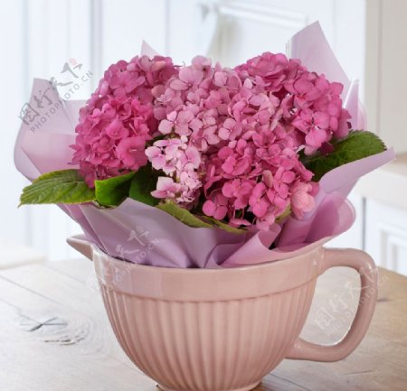 粉色花束盆栽图片