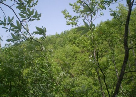 三门峡山区风景图片