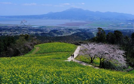 山野图片