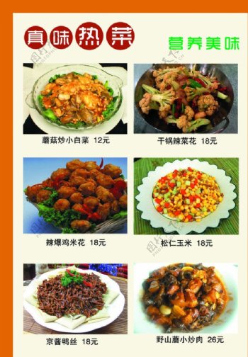 热菜菜谱图片