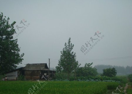 长江边上的村庄图片