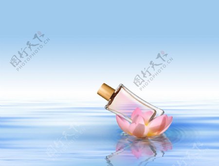 水中莲花上的香水图片
