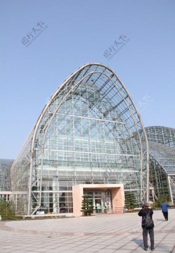 重庆南山植物园图片