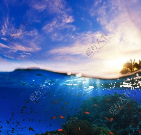 海浪海底世界图片