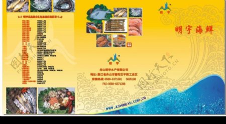 海鲜三折页海味虾带鱼蟹鱿鱼广告设计画册设计图片