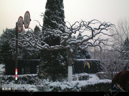 燕山大学雪景图片
