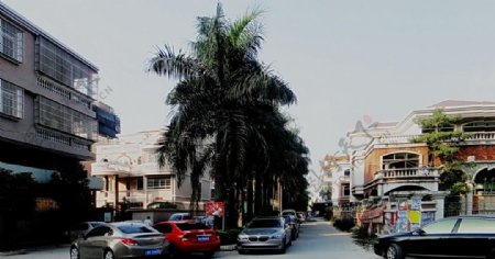 新村的巷道图片
