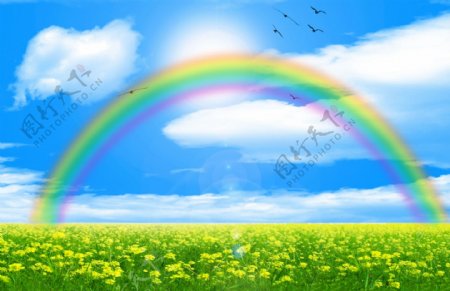 蓝天白云绿野鲜花彩虹图片