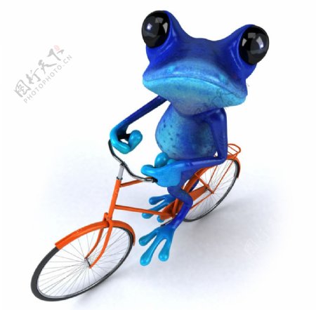 骑着自行车的青蛙图片