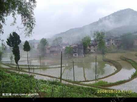 云雨天图片