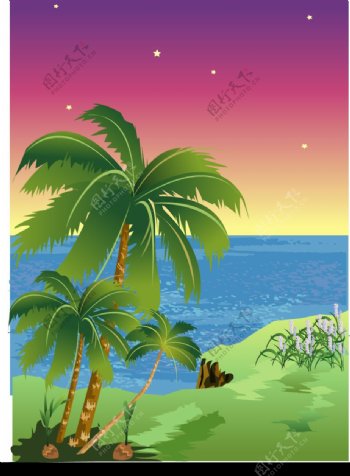 椰树与海图片