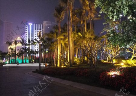 广州花城广场夜景建筑园林摄影图片