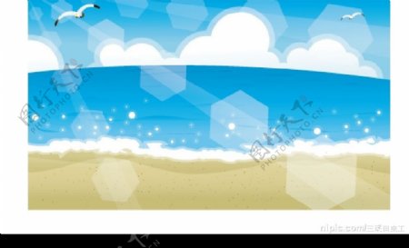 大海阳光海鸥图片