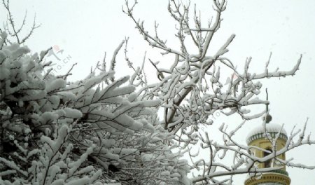 喀什雪景图片