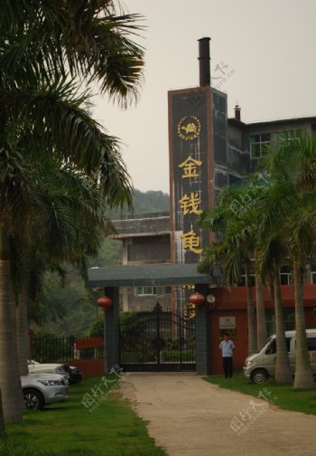 广东惠州金钱龟庄园图片
