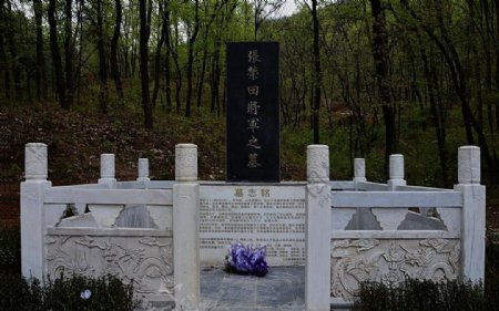 杏花山将军墓图片