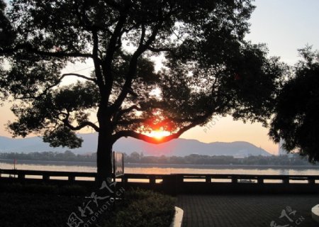 夕阳下的湘江边图片