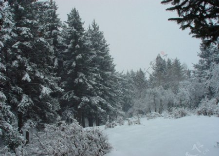 窑子沟雪景图片