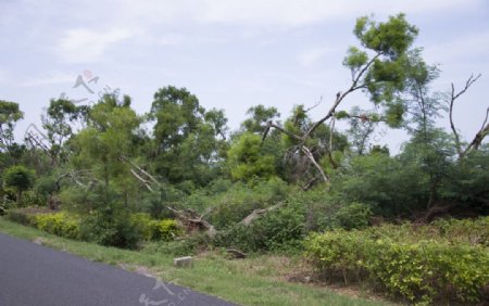 广西涠洲岛风光图片