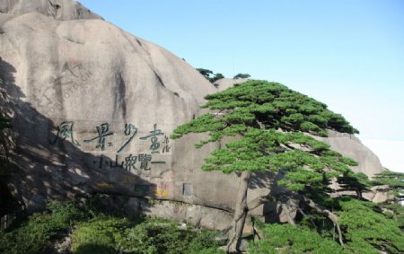 黄山风光图片