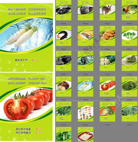 健康食疗菜谱图片