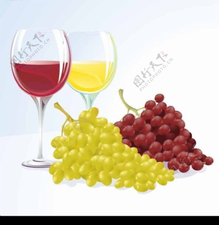 葡萄与葡萄酒矢量素材图片