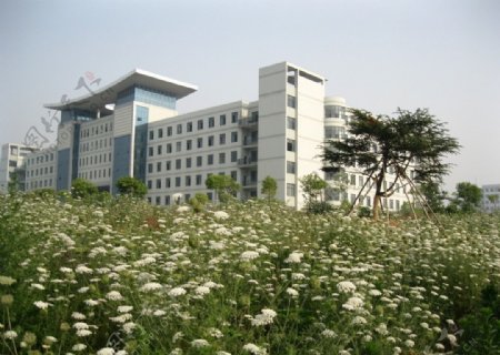 鄂州大学教学楼图片