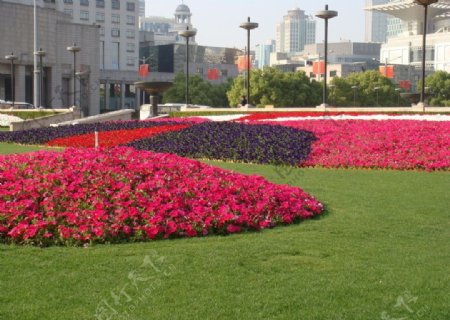 上海建筑鲜花景观图片