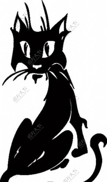 神秘黑猫图片