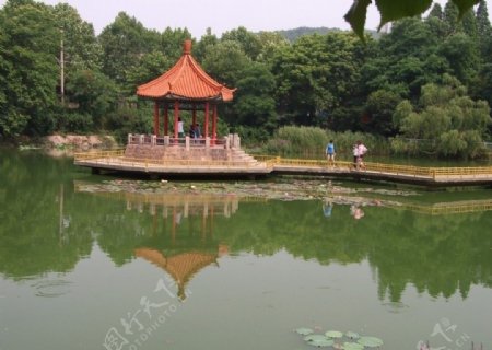 湖中亭桥图片