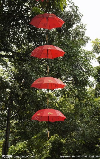 红雨伞图片