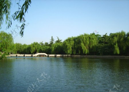 安阳洹水公园风景图片