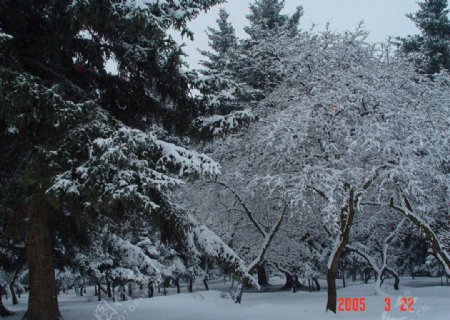 窑子沟雪景图片