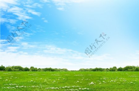草地蓝天图片