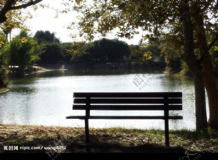 湖边的长椅图片