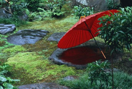 红色的伞图片